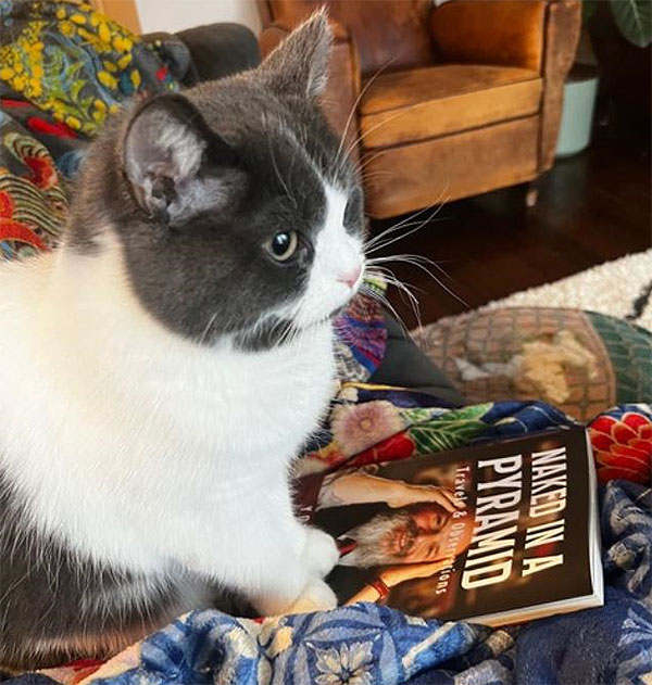 Cat and Book